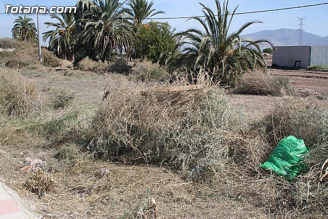 La concejalía de Servicios lleva a cabo un plan de saneamiento profundo de más de una veintena de caminos rurales, Foto 3
