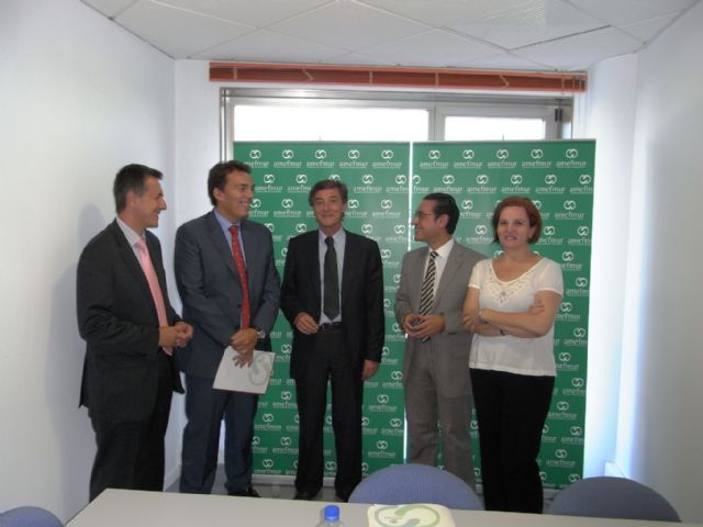 Reunión con AMEFMUR para recoger sus propuestas - 1, Foto 1
