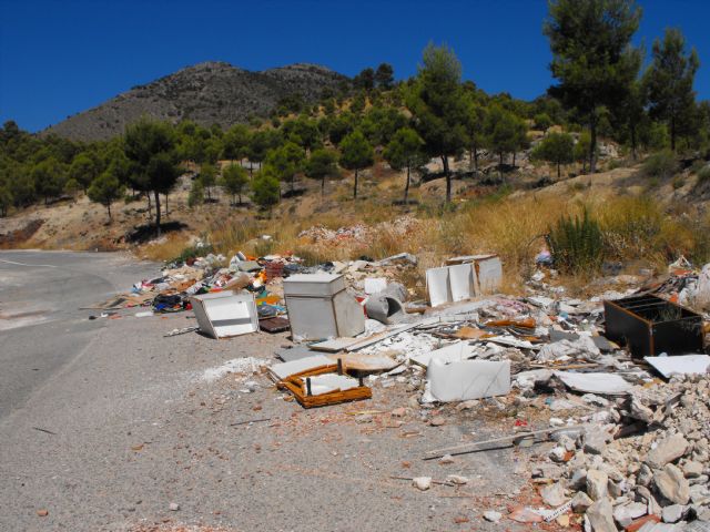 Los socialistas denuncian una serie de deficiencias e imprevisiones en el servicio de recogida de basura y limpieza viaria - 3, Foto 3