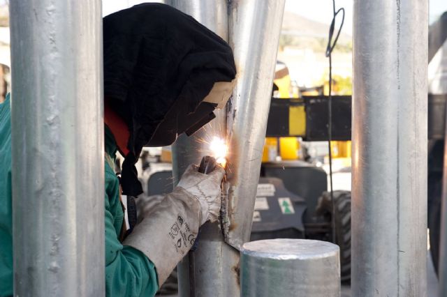 El bosque de la plaza del Rey toma forma - 5, Foto 5