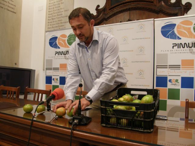 El Ayuntamiento exige al Gobierno de España que defienda a los agricultores lorquinos frente a la presión de Marruecos - 1, Foto 1