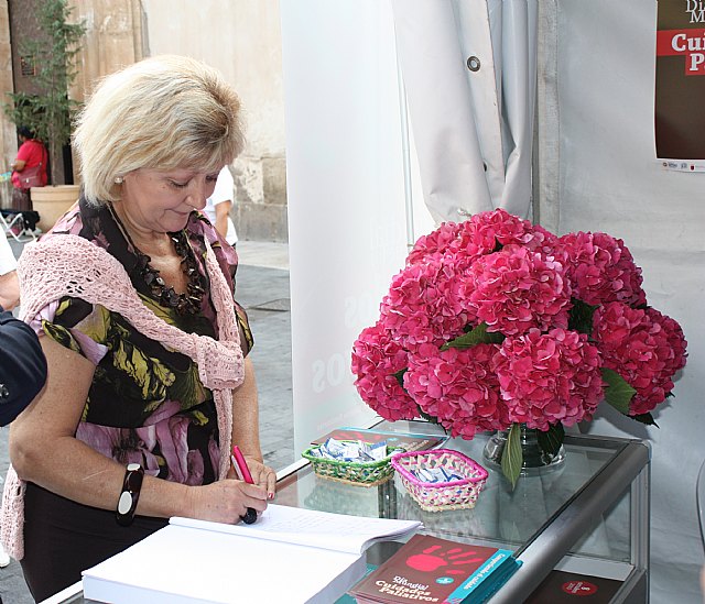 Sanidad presenta la web cuidarypaliar.es, destinada a profesionales, familias y pacientes - 2, Foto 2