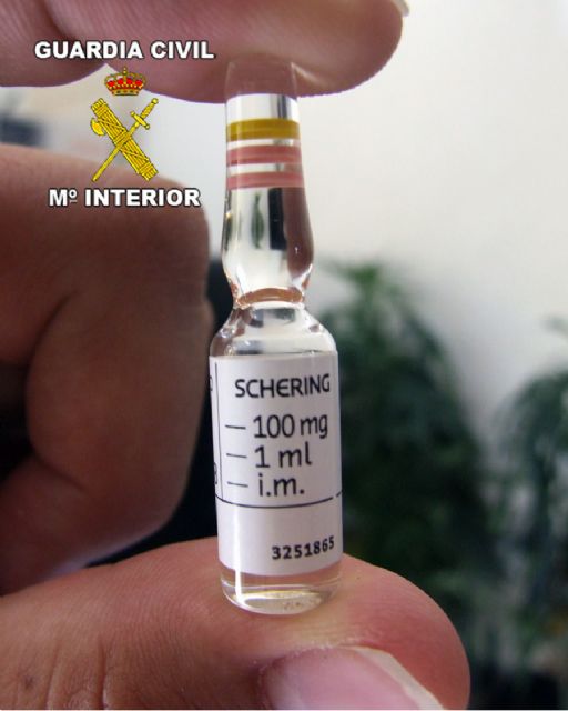 Desmantelada una red de distribución ilegal de anabolizantes y medicamentos falsificados - 1, Foto 1