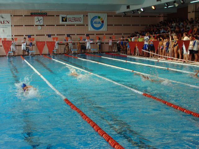 312 nadadores compiten en el Trofeo de Natación Ciudad de Lorca - 2, Foto 2