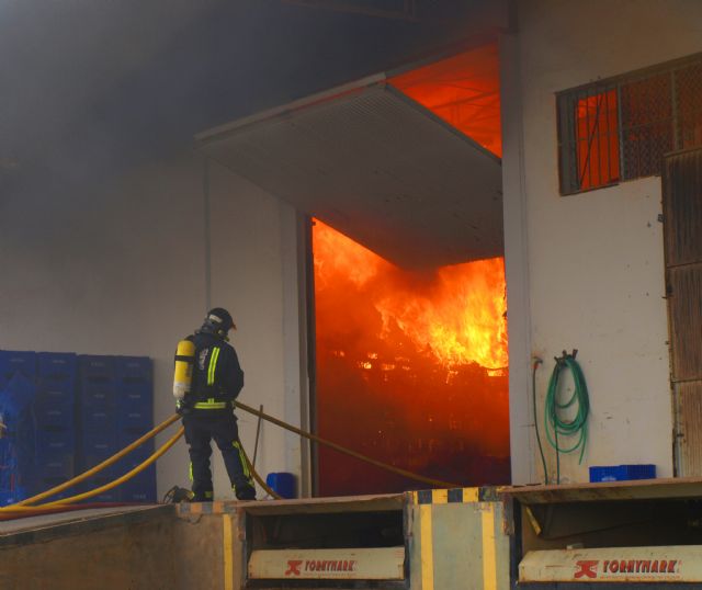 El fuego provoca importantes daños en una empresa hortofrutícola de Abarán - 1, Foto 1