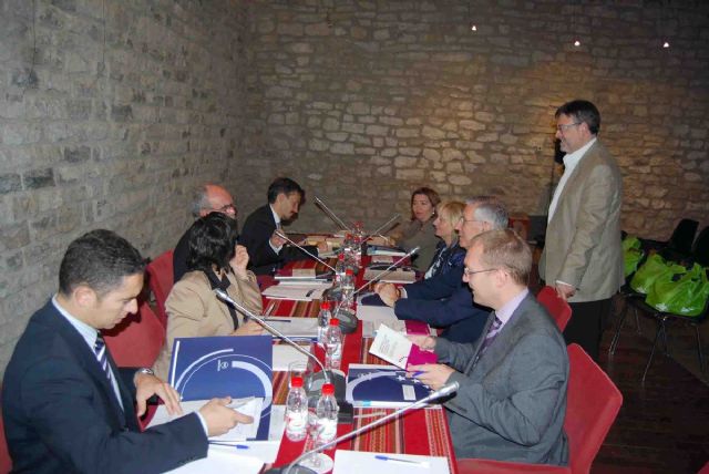 La inmigración a debate en la Comisión de Integración y Cohesión Social - 1, Foto 1