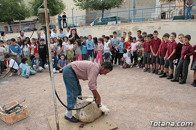 Cientos de escolares han participado en los oficios del campo como el esquilado y el ordeñado - 1, Foto 1
