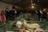 Autoridades municipales y regionales inauguran la 'II feria del campo, agricultura y ganadera'