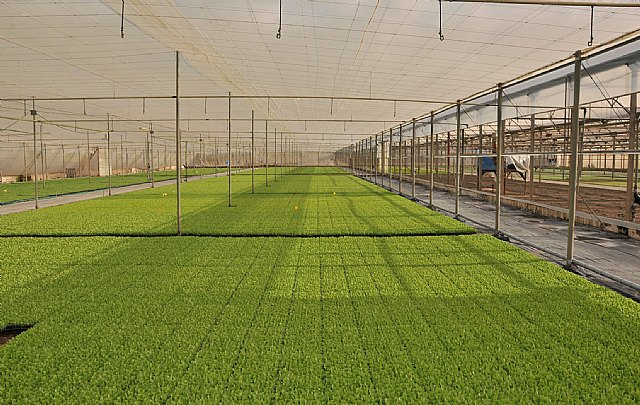 Una delegación del Gobierno de Chile se interesa por la sanidad vegetal en la Región - 2, Foto 2
