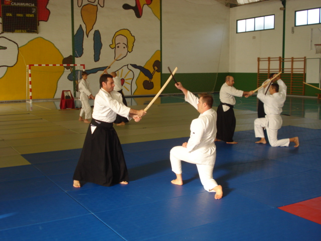 Los alumnos del Club de Aikido perfeccionan las tcnicas del arte marcial - 3