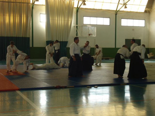 Los alumnos del Club de Aikido perfeccionan las tcnicas del arte marcial - 6