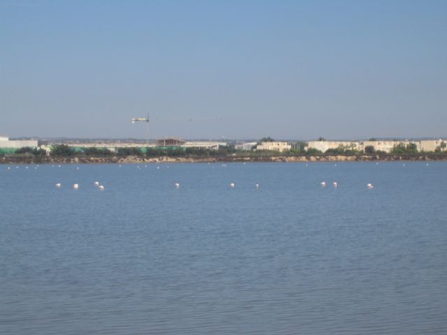 Continúa el programa de viajes desarrollados para las Personas Mayores con dos salidas a San Pedro del Pinatar y a Cantabria - 2, Foto 2