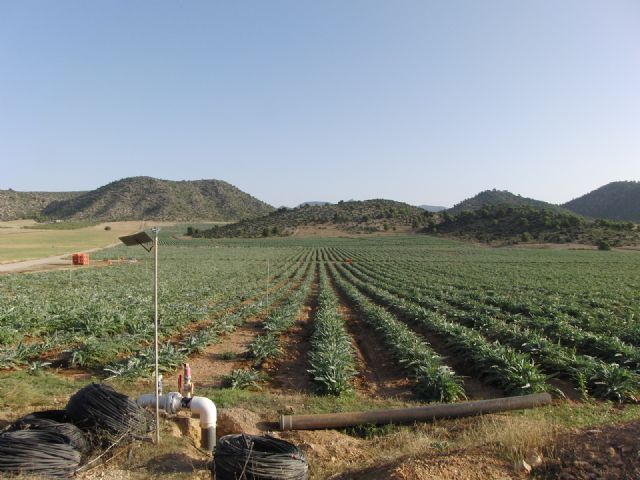 Piden que se reclame la deuda de la promotora del Roblecillo, Golden Sky, con el Ayuntamiento tras declararse está en suspensión de pagos - 1, Foto 1