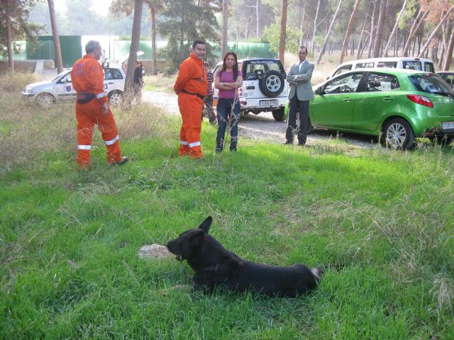 Protección Civil cuenta con tres perros que participan en tareas de rescate y búsqueda de desaparecidos - 3, Foto 3