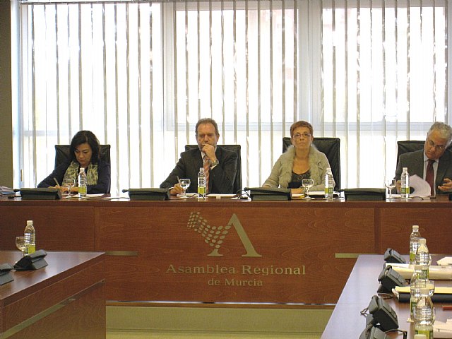 Sotoca asegura que los efectos de la crisis se han notado menos en la Región que en el conjunto de España, en los dos últimos años - 1, Foto 1