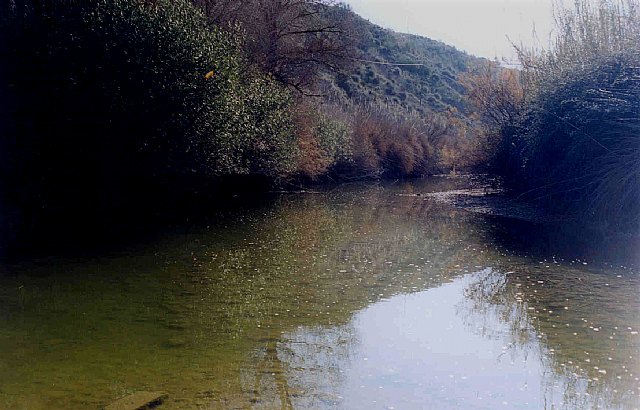 La Comunidad renueva la concesión de cotos deportivos de pesca fluvial - 1, Foto 1