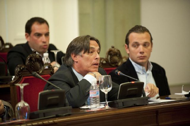 El Palacio de Deportes estará en marcha durante el primer trimestre de 2011 - 1, Foto 1