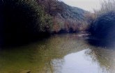 La Comunidad renueva la concesin de cotos deportivos de pesca fluvial