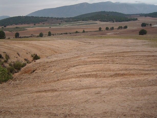 Presentan una Moción para que se actúe ante la deuda de la promotora del Roblecillo - 2, Foto 2