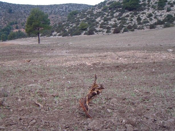 Presentan una Moción para que se actúe ante la deuda de la promotora del Roblecillo - 3, Foto 3