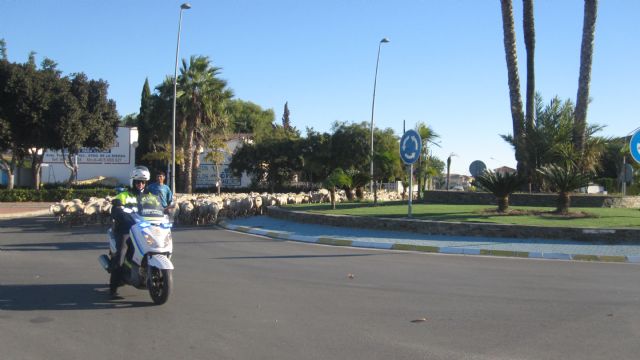 Medio millar de ovejas cruzan la avenida Aviación Española - 1, Foto 1