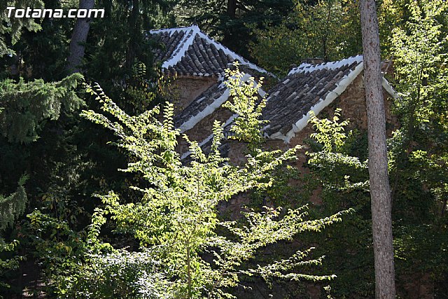 Valoracin Junta Rectora de Sierra Espuña - 8