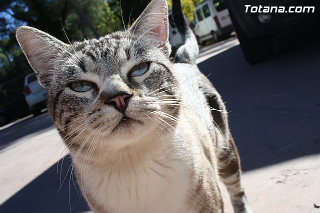 Valoracin Junta Rectora de Sierra Espuña - 20