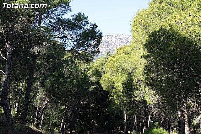 Valoracin Junta Rectora de Sierra Espuña - 16