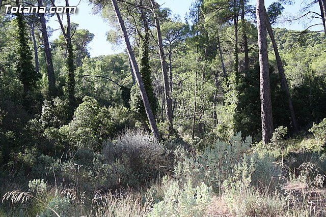 Valoracin Junta Rectora de Sierra Espuña - 18