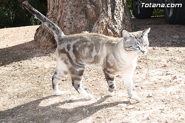 Valoracin Junta Rectora de Sierra Espuña - 19