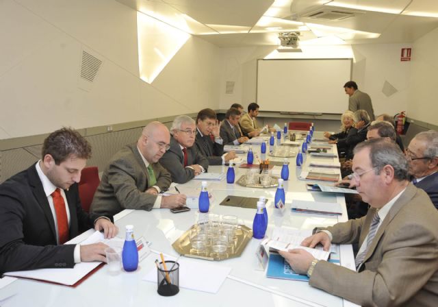 El Consejo Social aprueba la distribución de 90 becas-colaboración para la investigación - 5, Foto 5