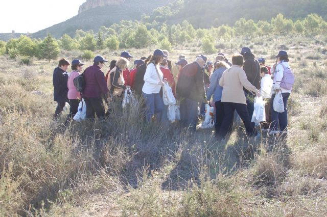 Cerca de medio centenar de personas plantaron 300 pinos en la umbría del cerro del castillo de Jumilla - 1, Foto 1