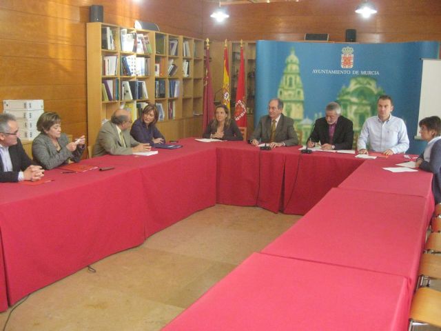 La Comisión Especial de Vigilancia de la Contratación comienza a tratar el expediente administrativo de adjudicación del tranvía - 1, Foto 1