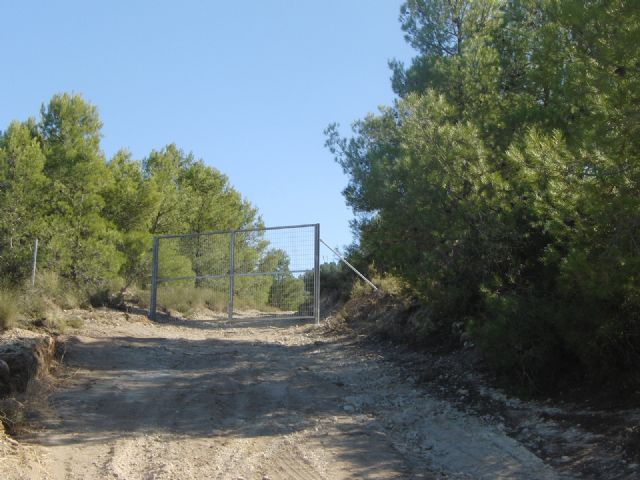 Piden que se adopten medidas ante una serie de obras de vallado ilegal en el estrecho de la Encarnación, junto al Río Quipar - 1, Foto 1