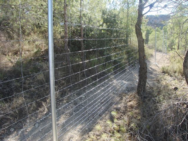 Piden que se adopten medidas ante una serie de obras de vallado ilegal en el estrecho de la Encarnación, junto al Río Quipar - 5, Foto 5