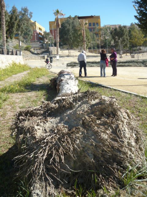 Un año después de su rehabilitación, la Casa del Capitán no ha sido dotada de uso público - 2, Foto 2