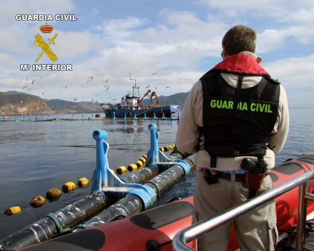 La Guardia Civil detiene a tres personas por la captura ilegal de especies de atún rojo - 1, Foto 1