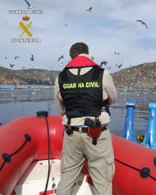 La Guardia Civil detiene a tres personas por la captura ilegal de especies de atún rojo - 2, Foto 2