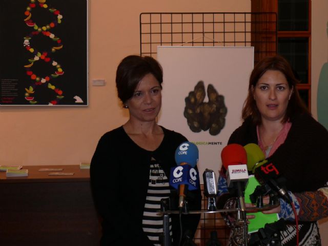 Un total de 30 obras, seleccionadas en el premio nacional de carteles Caja Madrid, forman la exposición ´Planeta sano´ - 2, Foto 2