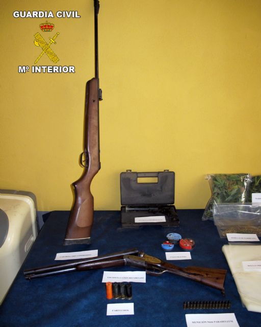 La Guardia Civil desmantela un punto de producción de marihuana en Librilla, Foto 1