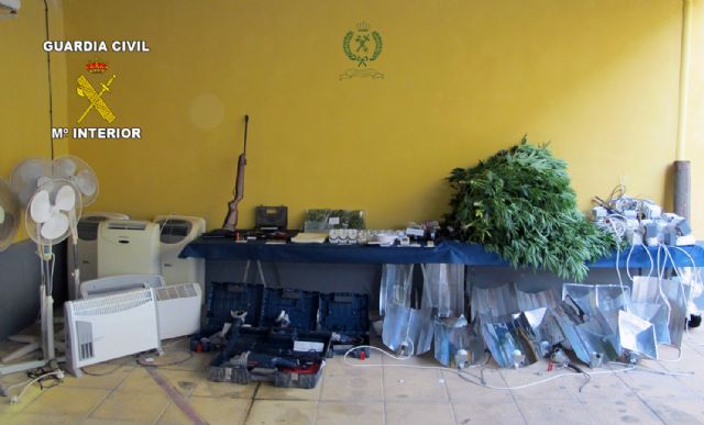 La Guardia Civil desmantela un punto de producción de marihuana en Librilla, Foto 3