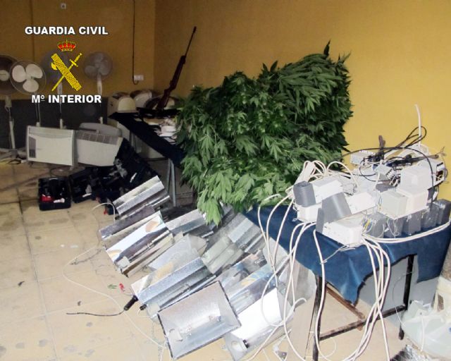 La Guardia Civil desmantela un punto de producción de marihuana en Librilla, Foto 5