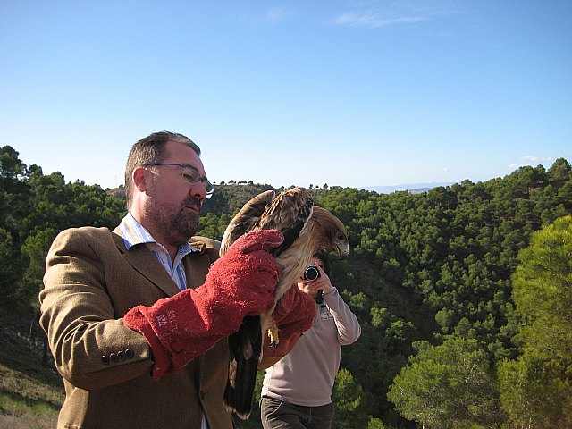 La Consejería de Agricultura liberará mañana tres aves rapaces en el Parque Regional El Valle tras su paso por el Centro de Recuperación, Foto 1