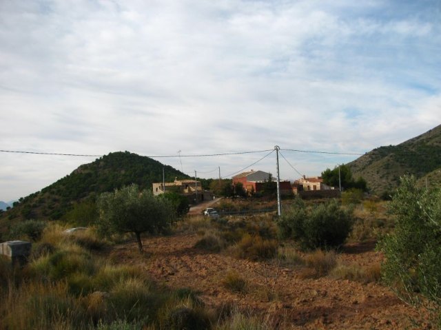 Nueva ruta del Club Senderista de Totana por el paraje de las Alqueras - 4