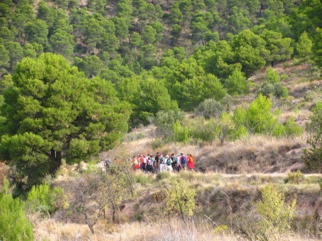 Nueva ruta del Club Senderista de Totana por el paraje de las Alqueras - 5