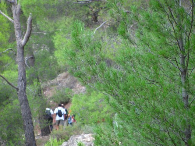 Nueva ruta del Club Senderista de Totana por el paraje de las Alqueras - 13