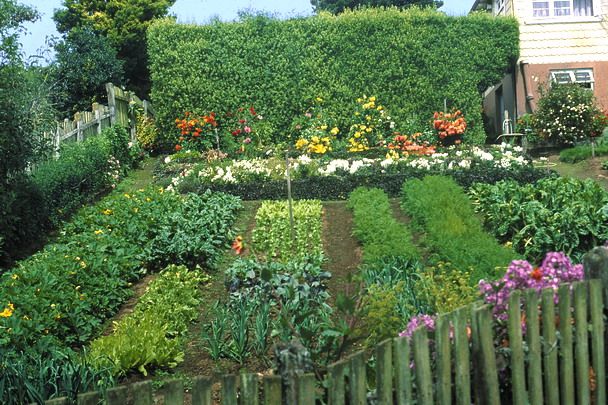 Este lunes 15 de noviembre se inaugura una exposición, con motivo del 25 aniversario de la UP, sobre ´plantas útiles´ - 1, Foto 1