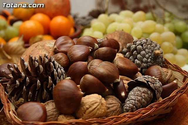 Gran fiesta de la Castaña 2010 - 1, Foto 1