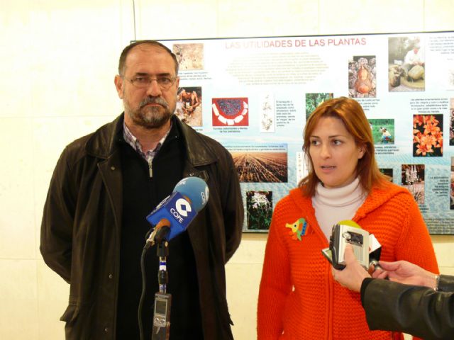 Cerca de un centenar de variedades  se pueden contemplar en la muestra 'plantas útiles' inaugurada ayer - 2, Foto 2