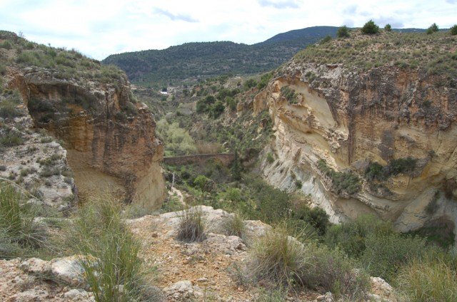 El próximo domingo 21 de noviembre tendrá lugar una ruta por la Rambla de los Molinos, Foto 1